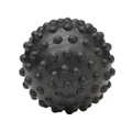 Celsius Therapy Ball