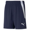 Puma Boys Liga Shorts Blue XS