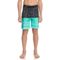 Quiksilver Boys Everyday Five O 17in Board Shorts Black 8