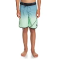 Quiksilver Boys Everyday New Wave 17 Board Shorts Green 10