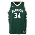 Nike Milwaukee Bucks Giannis Antetokounmpo Icon 2020/21 Kids Swingman Jersey Green XL
