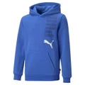 PUMA Boys Essentials Fleece Logo Hoodie Royal Blue XS