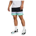 Under Armour Mens Baseline 2 Woven Shorts