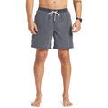 Quiksilver Mens Everyday Surfwash Volley 17in Board Shorts Black M