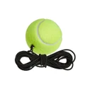 Prince Replacement Ball and Elastic