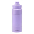 Celsius Invigorate Insulated 530ml Water Bottle