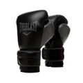 Everlast Powerlock2 Training Boxing Gloves Black 10oz