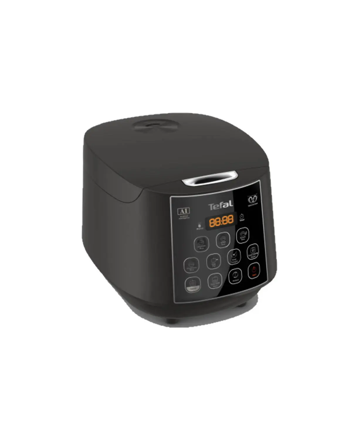 Tefal Easy Rice and Slow Cooker Plus - Black - RK736