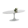 Replica Marble Tulip Oval Coffee Table