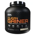 Clean Gainer by Rival Us