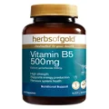 Vitamin B5 500mg by Herbs of Gold