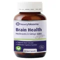 Brain Health Mushrooms & Ginkgo 6000 by Henry Blooms