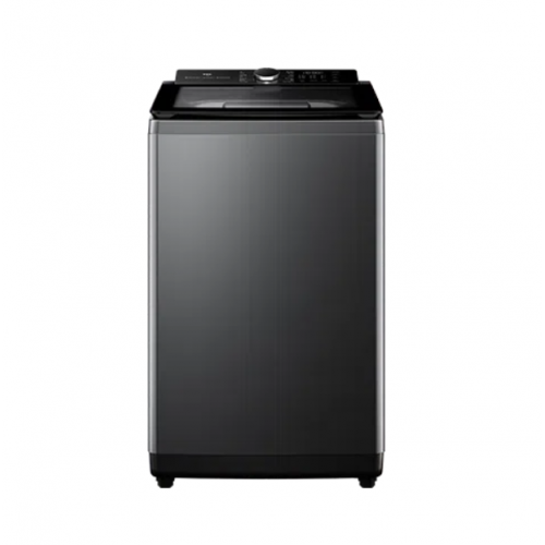 WA10P60G TCL 10 KG Top Load Washer