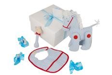 Alimrose Designer Baby Boy Gift Basket