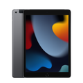 Apple 10.2-inch iPad Wi‑Fi + Cellular 256GB — Space Grey - MK4E3X/A