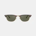 Ray-Ban - Clubmaster Polarised RB3016 - Polarised (RED HAVANA) Clubmaster Polarised RB3016