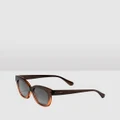 Hawkers Co - HAWKERS Fusion Brown AUDREY Sunglasses for Men and Women UV400 - Sunglasses (Brown) HAWKERS - Fusion Brown AUDREY Sunglasses for Men and Women UV400