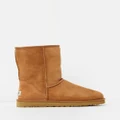 UGG - Mens Classic Short Boots - Slippers & Accessories (Chestnut) Mens Classic Short Boots