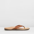 Vionic - Tide Aloe Toe Post Sandals - All thongs (Mocha) Tide Aloe Toe Post Sandals