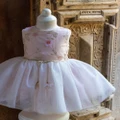 Bebe by Minihaha - Embroidered Tutu Dress Babies - Bloomers (Pale Pink) Embroidered Tutu Dress - Babies