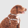Mog & Bone - Hemp Dog Harness Black Mosaic Print - Home (BLACK WHITE MOSAIC) Hemp Dog Harness - Black Mosaic Print