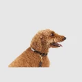 Mog & Bone - Rope & Leather Dog Collar Grey - Home (Grey) Rope & Leather Dog Collar- Grey