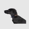 Mog & Bone - Rope & Leather Dog Collar Navy - Home (Navy) Rope & Leather Dog Collar- Navy
