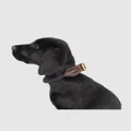 Mog & Bone - Rope & Leather Dog Collar Black - Home (Black) Rope & Leather Dog Collar- Black
