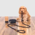 Mog & Bone - Multi function Rope Dog Lead (1.8m) Black - Home (BLACK) Multi-function Rope Dog Lead (1.8m) - Black
