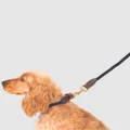Mog & Bone - Classic Rope Dog Lead (1.2m) Black - Home (BLACK) Classic Rope Dog Lead (1.2m) - Black