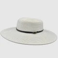 Jacaru - Jacaru 1878 Ladies 10cm Brim White with black trim - Hats (White) Jacaru 1878 Ladies 10cm Brim White with black trim