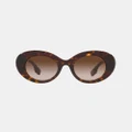 Burberry - 0BE4370U Sunglasses - Sunglasses (Dark Havana) 0BE4370U Sunglasses