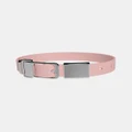 Frank Green - Pet Collar Small Blushed with Name Tag - Home (Blushed Silver) Pet Collar Small Blushed with Name Tag