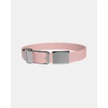 Frank Green - Pet Collar Small Blushed with Name Tag - Home (Blushed Silver) Pet Collar Small Blushed with Name Tag