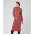 Ripe Maternity - Nella Rib Nursing Knit Dress - Dresses (Rouge) Nella Rib Nursing Knit Dress