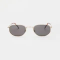 Volcom - Happening Sunglasses Gloss - Sunglasses (Grey) Happening Sunglasses Gloss