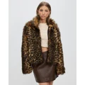 Unreal Fur - Wild Cat Jacket - Coats & Jackets (Leopardess) Wild Cat Jacket