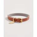 Country Road - Alfie Recycled Polyester Small Pet Collar - Home (Grey) Alfie Recycled Polyester Small Pet Collar