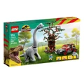LEGO Jurassic World - 76960 Brachiosaurus Discovery - Lego (Multi) 76960 Brachiosaurus Discovery