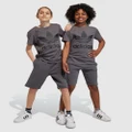 adidas Originals - Adicolor Shorts Teens - Shorts (Grey Five) Adicolor Shorts - Teens