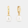 Michael Hill - Hoop Earrings with Cultured Freshwater Pearls in 10kt Yellow Gold - Jewellery (Yellow) Hoop Earrings with Cultured Freshwater Pearls in 10kt Yellow Gold