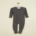 Bonds Baby - Poodlette Zip Wondersuit - All onesies (A Thousand Crosses Iso Grey) Poodlette Zip Wondersuit