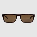 Quiksilver - Ferris Sunglasses - Sunglasses (BROWN TORTOISE/BROWN) Ferris Sunglasses