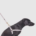 Mog & Bone - Hemp Dog Harness Latte Mosaic Print - Home (LATTE WHITE MOSAIC) Hemp Dog Harness - Latte Mosaic Print