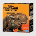 4M - 4M Dig a Dinosaur Triceratops - Educational & Science Toys (Multi Colour) 4M - Dig a Dinosaur - Triceratops