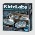 4M - 4M KidzLabs Crystal Geode Growing Kit - Educational & Science Toys (Multi Colour) 4M - KidzLabs - Crystal Geode Growing Kit