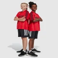 adidas Sportswear - Tiro Shorts Kids Teens - Shorts (Black) Tiro Shorts - Kids-Teens