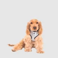 Mog & Bone - Neoprene Dog Harness Grey Check Print - Home (GREY CHECK) Neoprene Dog Harness - Grey Check Print