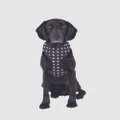 Mog & Bone - Neoprene Dog Harness Black Metallic Cross Print - Home (BLACK METALLIC CROSS) Neoprene Dog Harness - Black Metallic Cross Print