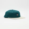 Dickies - Classic Label Paneled Cap - Headwear (Dark Lincoln Green & Natural) Classic Label Paneled Cap